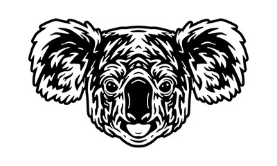 koala © Janja