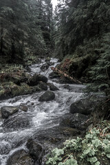 Waterfall in Carpathian forest