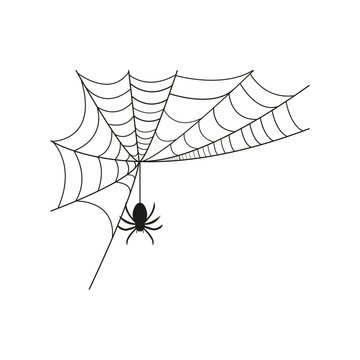 Spider and cobweb. Vector graphics