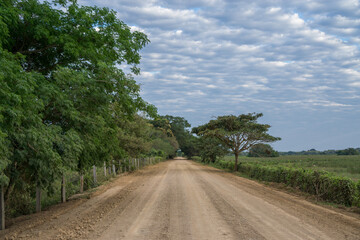 Transpantaneira Road in Panantal