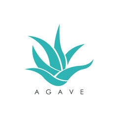 abstract agave leaves