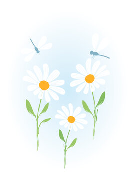Chamomile flower and dragonfly cartoons on blue blur background vector illustration.