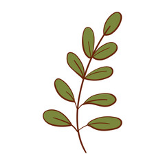 Ecology leaf concept. Isolated on white background. Vector botanical illustration. Hand-drawn doodle floral elements. Spring and summer flower and plant vector in line art outline style. 