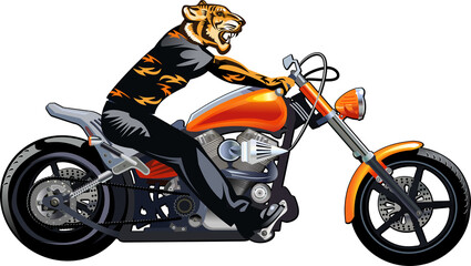 Fototapeta na wymiar Tiger on the motorbike