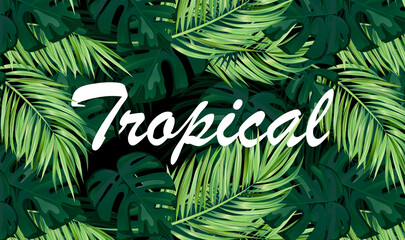 Summer tropical vector design for banner or flyer with dark green palm leaves and lettering. Vector illustration © GN.STUDIO