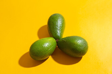 Fresh avocados on color background