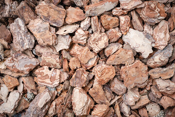 Background of pine bark nuggets layer