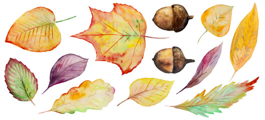 Watercolor collection of beautiful orange autumn leaves isolated