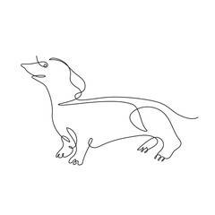 Dachshund. The dog is drawn in one line. Minimalistic graphics.