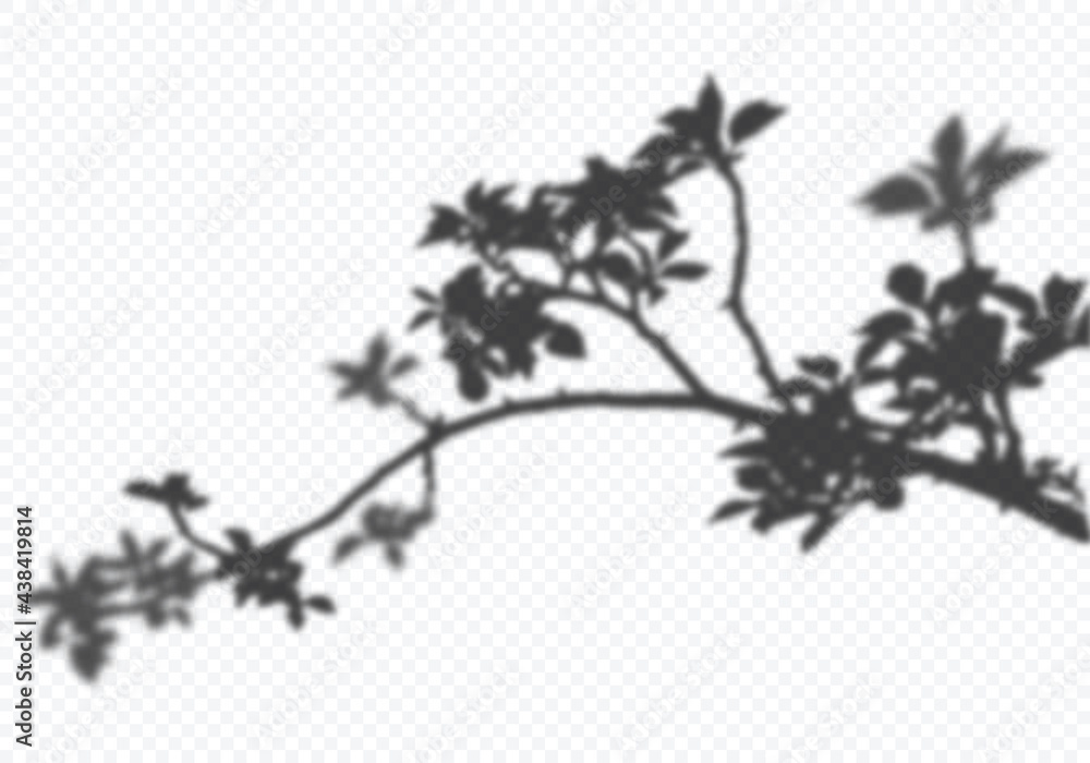 Poster vector transparent shadow of blooming apple tree branch with leaves. decorative design elements for 
