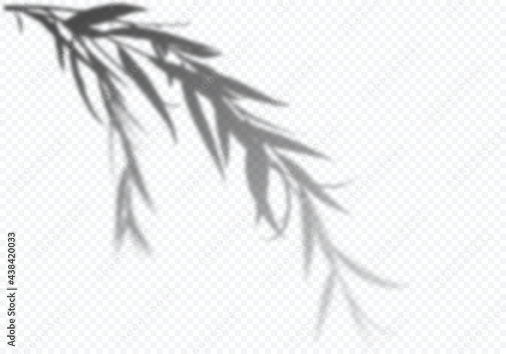 Poster Vector Transparent Shadow of Tree Branch with Leaves. Decorative Design Element for Presentations and Mockups. Realistic Overlay Effect