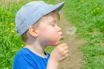 a young boy stands in a meadow and blows on a fluffy dandelion