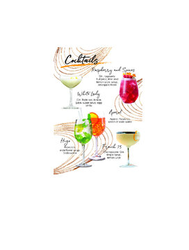 Cocktails set menu with illustrations and components