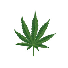 Marijuana Icon. Green cannabis leaves. Organic natural drug. Hemp medical. Vector illustration flat design. Isolated on white background. Legalization of cannabis. Green hashish.