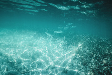 Fish, Sea sand and blue water. Underwater ocean background