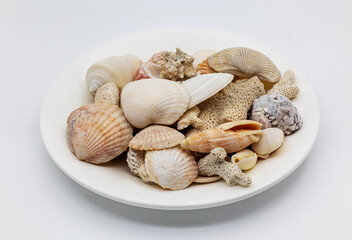 Sea Shells on a Saucer