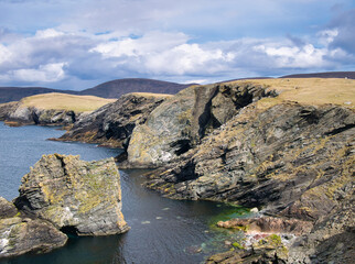Inclined strata in coastal rock at Kenna Ness, Shetland, UK. An unnamed igneous intrusion, late...