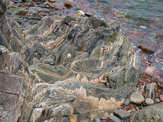 Highly folded stratified layers of rock at sea level on the Ness of Hillswick, Northmavine,...