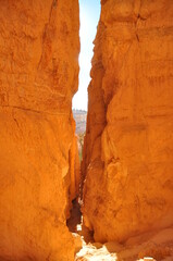 Vertical view of a split in the rock  in Paunsaugunt Plateau of Bryce Canyon National Park, USA 