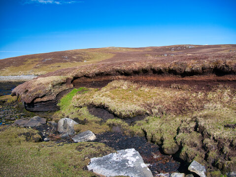 Peat erosion and loss from old peat diggings on coastal wetlands at Lunna Ness, Shetland, UK. Taken on a sunny day with a clear blue sky.