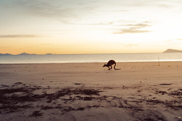 Australia east coast