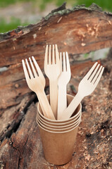 disposable paper tableware on wooden background in the forest in summer, zero waste concept