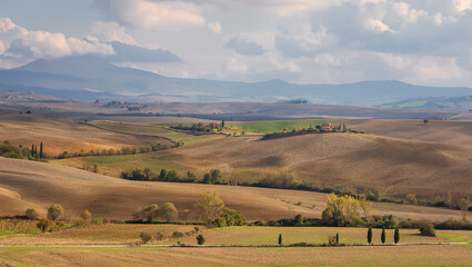 Fototapeta premium Typical Italian landscape with cypress alley, hills, wheat and barley fields in Tuscany, Italy