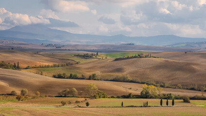 Typical Italian landscape with cypress alley, hills, wheat and barley fields in Tuscany, Italy