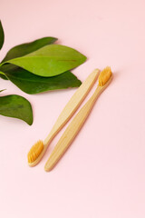 daily human hygiene, cotton swabs and cotton pads, a woman's hand holding bamboo toothbrushes on a pink background in a glass or against a background of plants, eco-friendly personal hygiene products