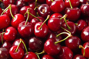 Close up of pile of ripe cherries background