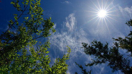 Lightly cloudy blue sky. Thin clouds on a sunny day.