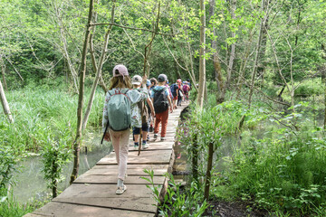 enfant detente excursion scolaire bois passerelle ruisseau nature Belgique Wallonie Lauzelle...