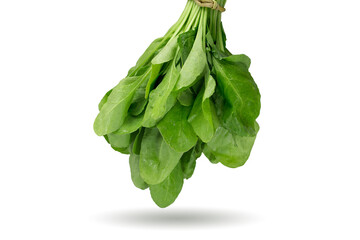Fresh Green spinach leaves isolated on white background