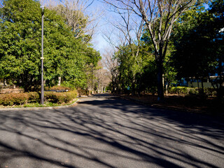 のどかな散歩道
ひるさがりのゆったりとした時間
整備され緑化に努めた街道