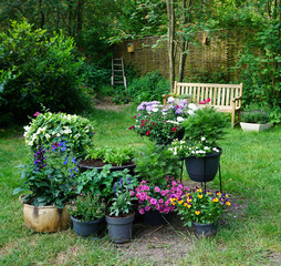 Fototapete bei efototapeten.de bestellen   