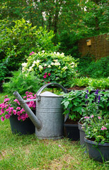 Flower garden, English  landscaped flower garden nice and green fresh start of the summer. nice and decorative garden. the garden of Eden. 