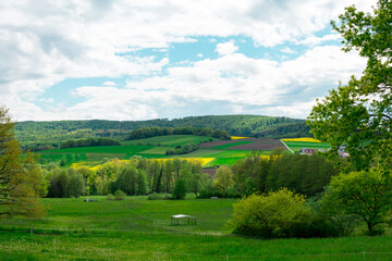 Green Landscape background