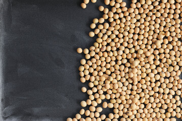 Soybeans on blackboard background. Copy space.
