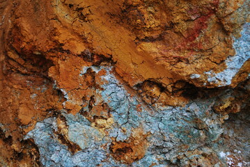 Real and quality images from natural world 