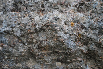 Real and quality images from natural world 