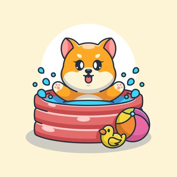 Cute shiba inu dog playing in an inflatable pool