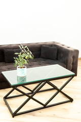 Black metal table with glass with sofa home design