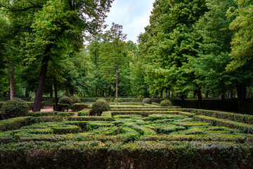 Public garden with hedges making a maze of trimmed bushes.