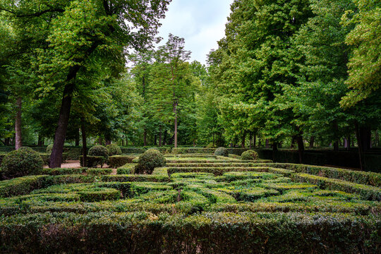 Public Garden With Hedges Making A Maze Of Trimmed Bushes.