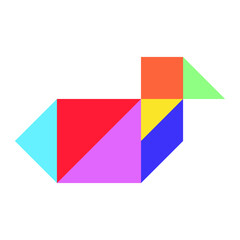 Color tangram puzzle in bird (duck, goose, swan) shape on white background