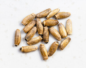 several whole milk thistle seeds close up on gray