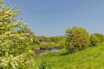 Obraz premium River bank in the countryside.