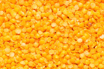 background - raw split red lentils