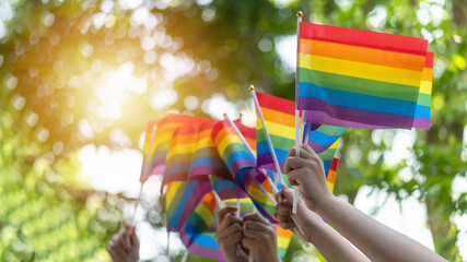 LGBT pride or LGBTQ+ gay pride with rainbow flag for lesbian, gay, bisexual, and transgender people human rights social equality movements in June month - 438447088