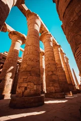 Foto op Plexiglas The columns with hieroglyphs in Karnak Temple, Luxor, Egypt © popovatetiana